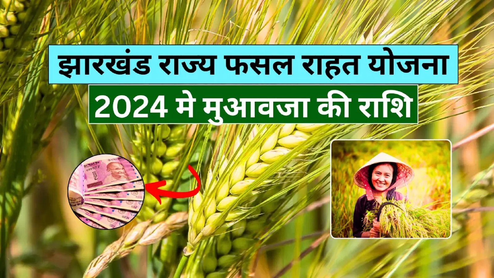 Jharkhand Fasal Rahat Yojana Status Check 2024